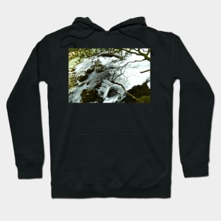 "A LOVE OF NATURE" Hoodie